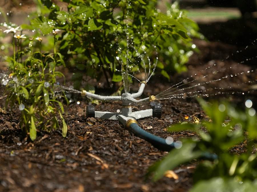 Drip irrigation watering a shrub bed