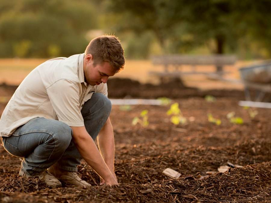 Landscaper planting in prepared soil