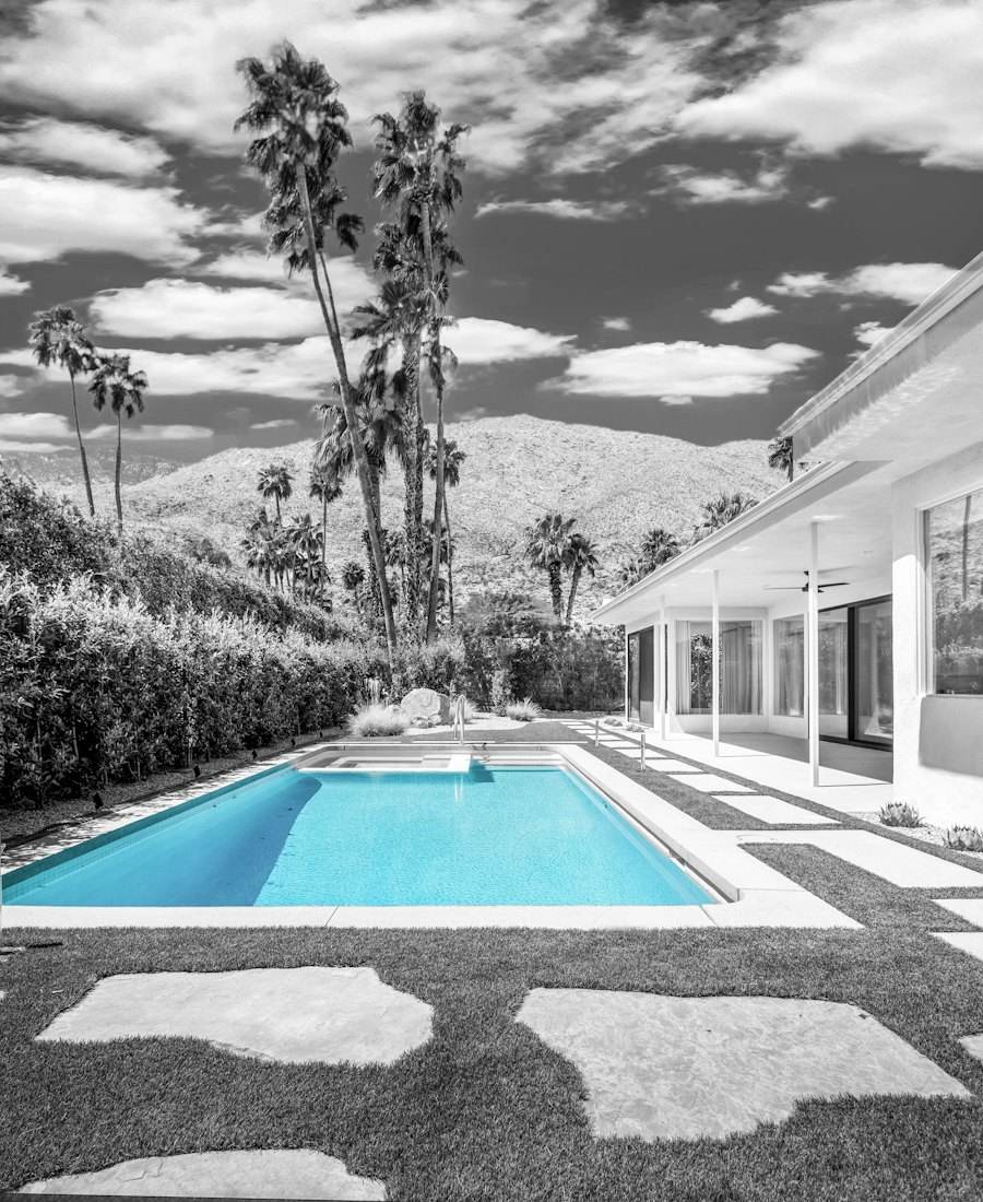 Pool area with palms and mountain view